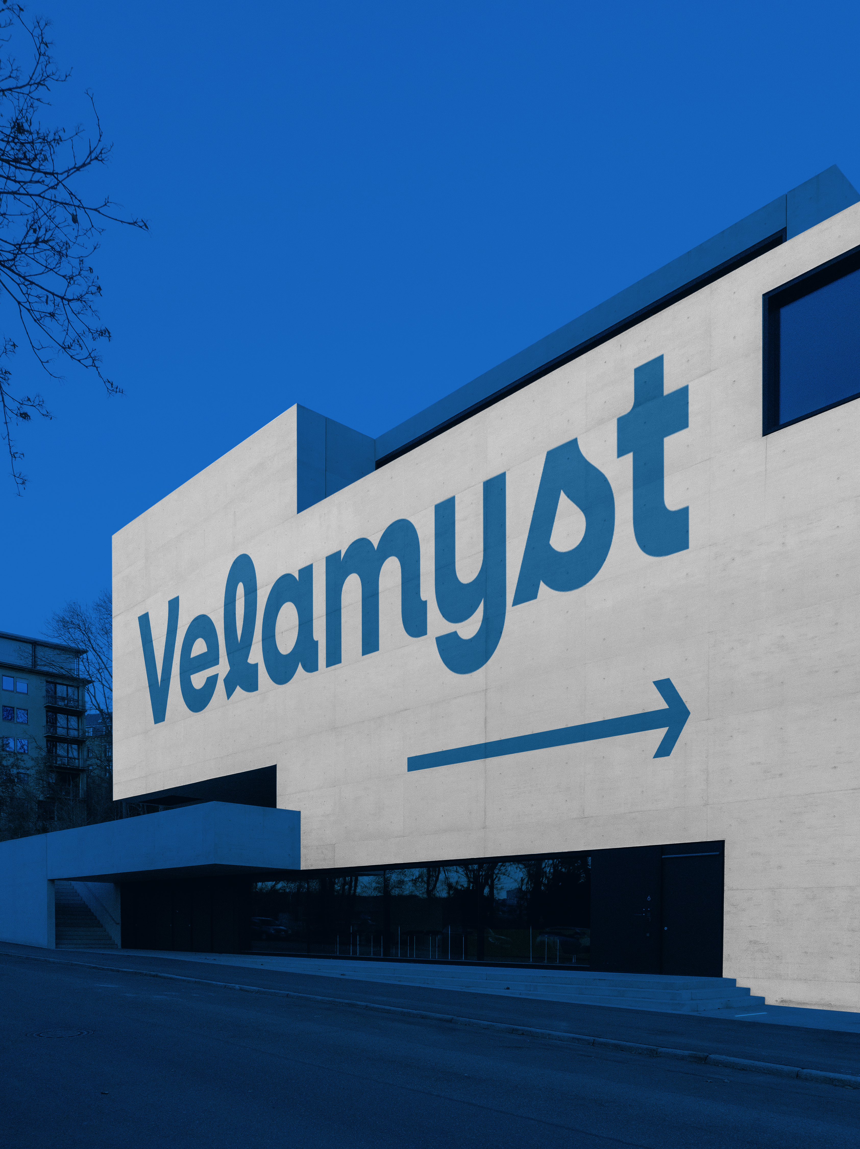 Velamyst Products